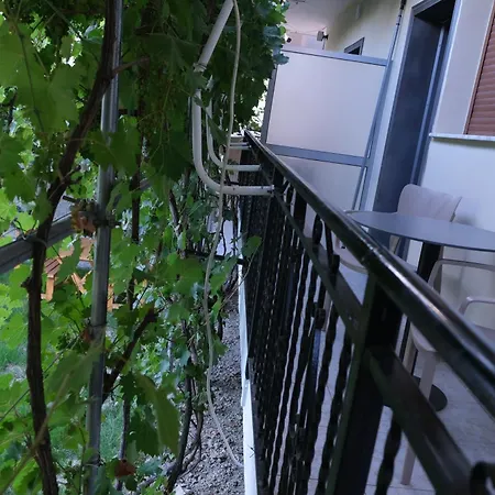 Apartment Kalpazo Kaja Garden Golem (Tirana)