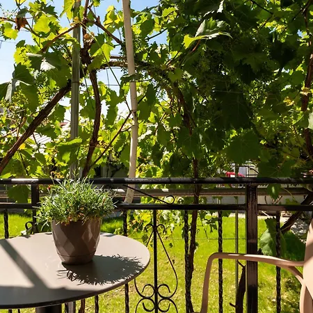 Kalpazo Kaja Garden * Golem (Tirana)