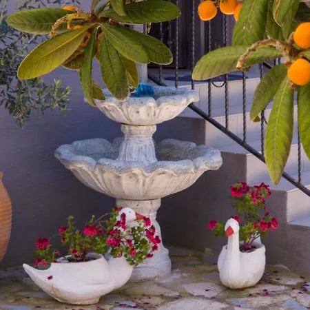 Kalpazo Kaja Garden Apartamento Golem (Tirana)