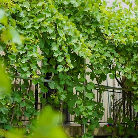 Apartament Kalpazo Kaja Garden
